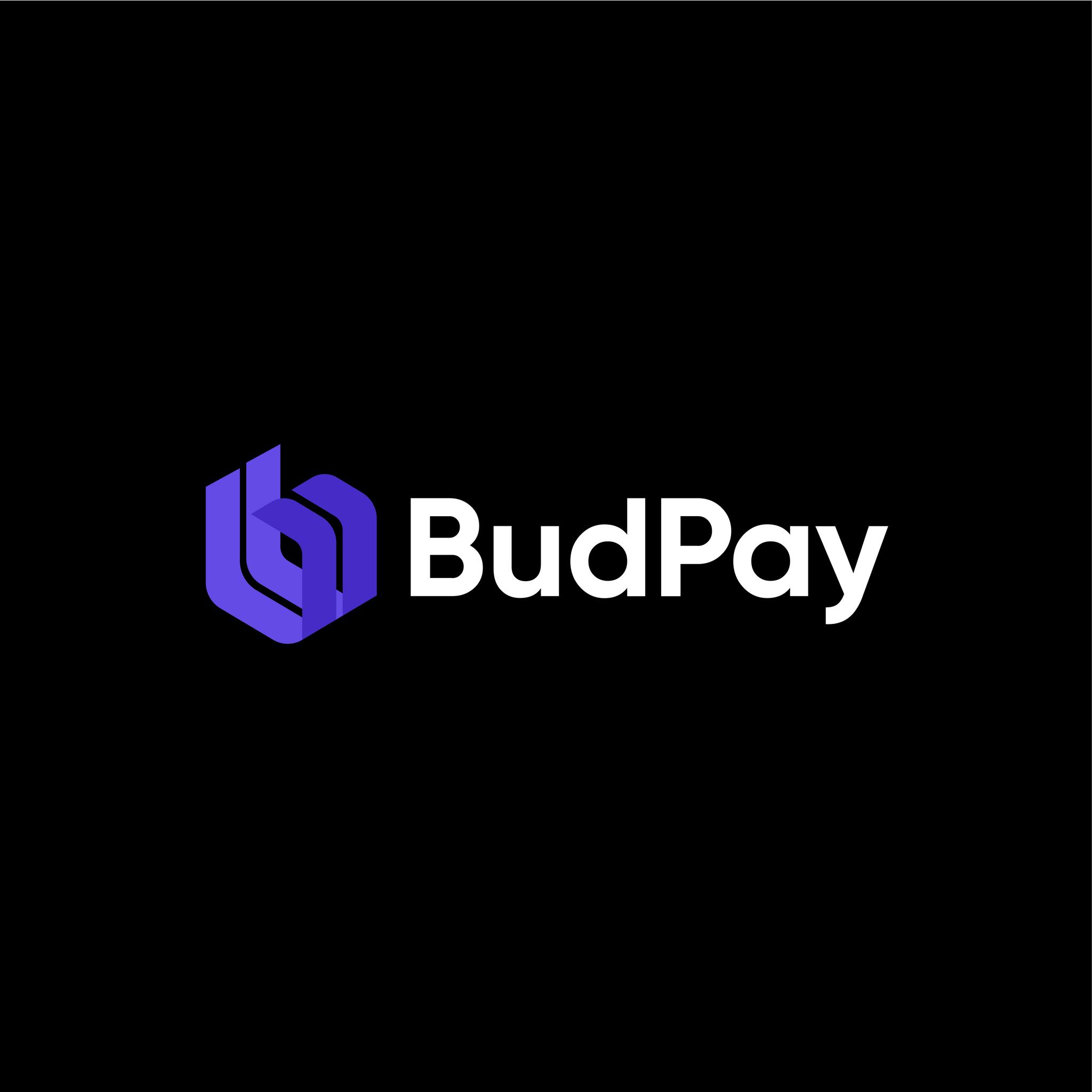 budpay-logo-black